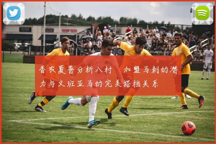 香农夏普分析八村塁加盟马刺的潜力与文班亚马的完美搭档关系