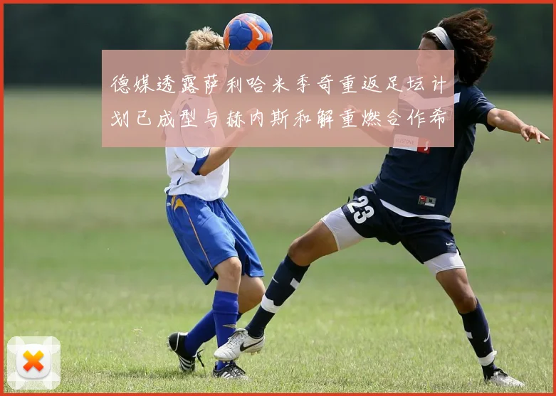 德媒透露萨利哈米季奇重返足坛计划已成型与赫内斯和解重燃合作希望